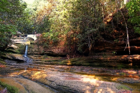 Landscape tree water nature Photo