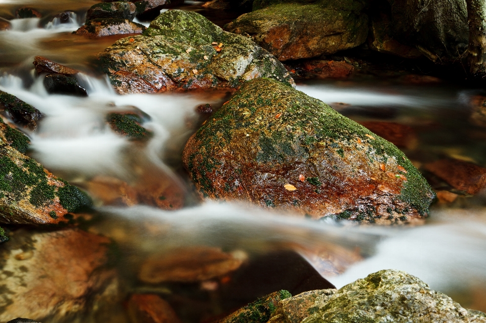 Acqua natura foresta rock