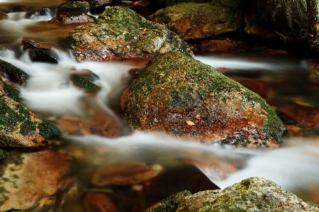 Foto Air alam hutan rock