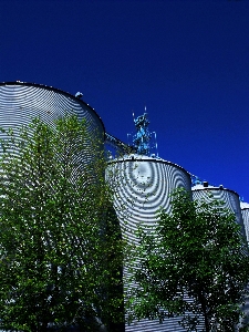 Tree water architecture structure Photo