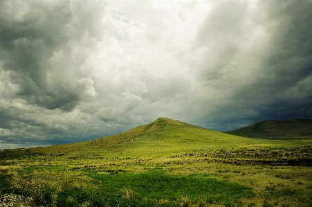 Landscape tree nature grass Photo