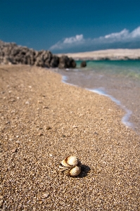 Foto Playa mar costa naturaleza