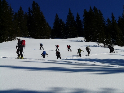 Snow cold winter group Photo