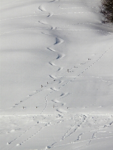 Sand snow cold winter Photo