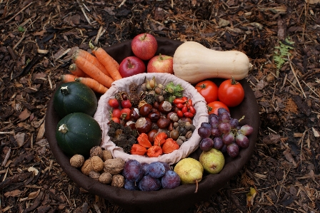 植物 フルーツ 食べ物 収穫 写真