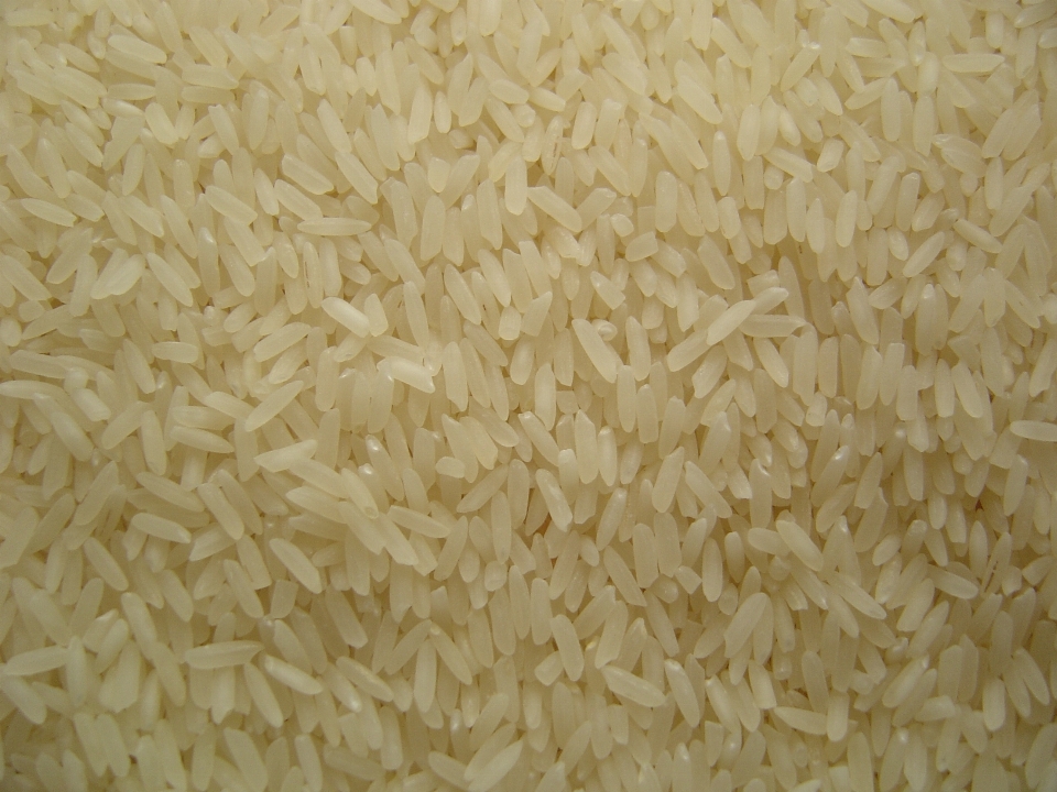 Blanc plat nourriture riz