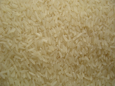 White dish food rice Photo