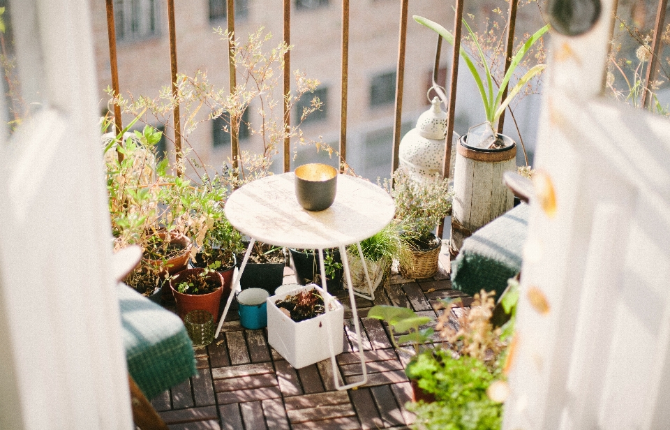 Table plant decking flower