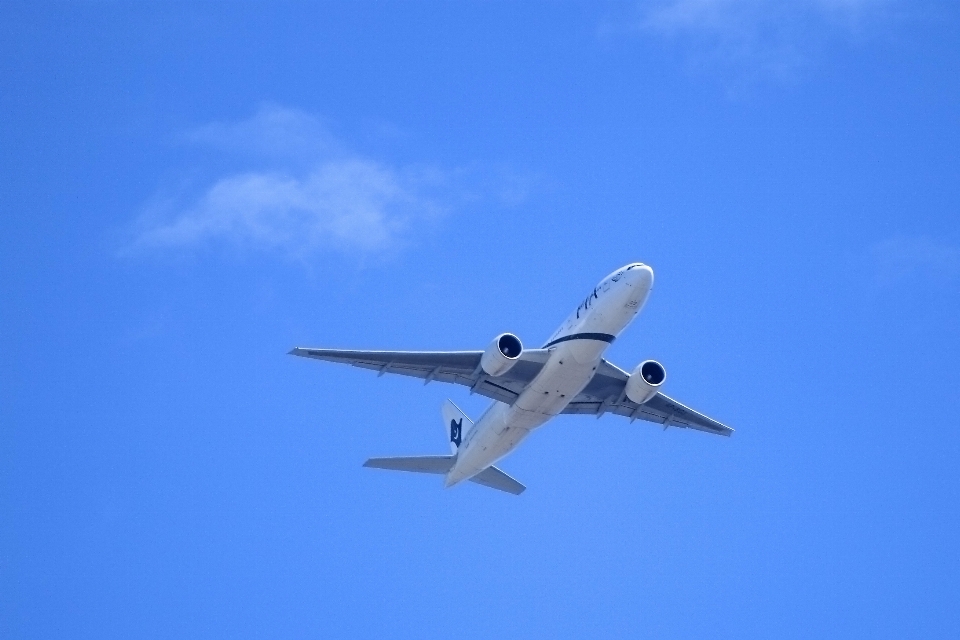 羽 空 空気 飛ぶ