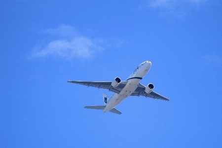 羽 空 空気 飛ぶ 写真