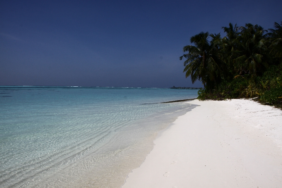 Praia mar costa água