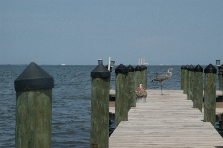 Beach sea coast water Photo