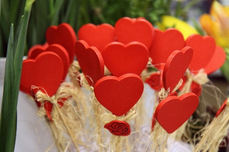 植物 花 花弁 お祝い 写真