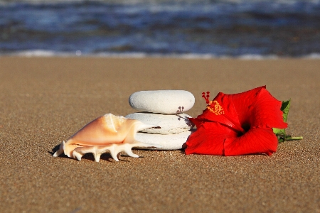 Hand beach sea water Photo