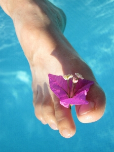 Hand water blossom girl Photo