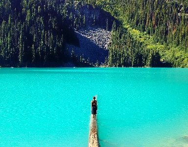 Sea water forest woman Photo