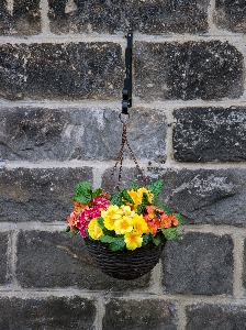 Flower window home wall Photo