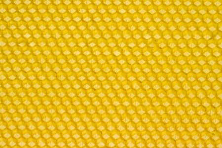 Honey pattern line yellow Photo