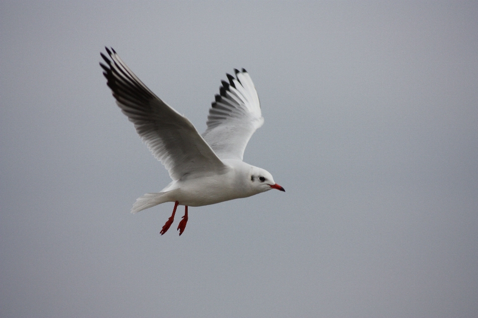 ビーチ 鳥 羽 空