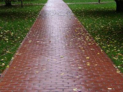 Trail bricks paved walking Photo