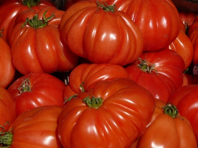 Foto Planta fruta alimento rojo