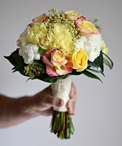 Plant flower petal bouquet Photo