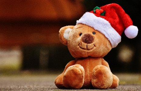 Christmas toy teddy bear santa hat Photo