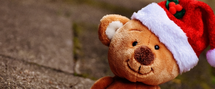 Christmas toy teddy bear close up Photo