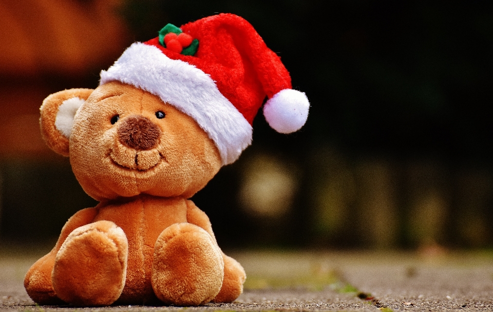 Navidad juguete oso de peluche
 sombrero santa