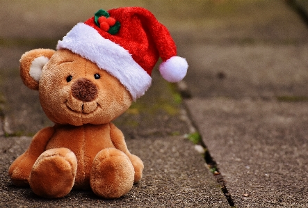 Christmas toy teddy bear santa hat Photo