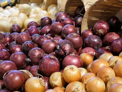 Onions eat market vitamins Photo