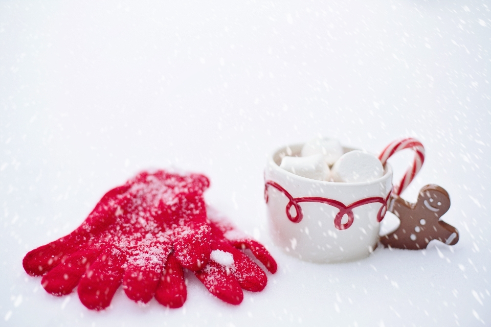 雪 冬 暖かい 花弁