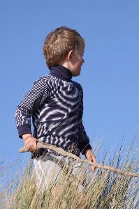 Beach sea nature grass Photo