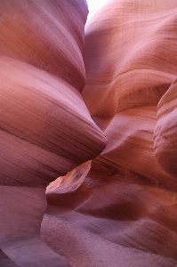 Nature rock plant wood Photo