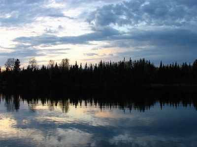 Landscape tree water nature Photo