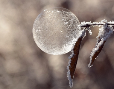 Photo Eau nature bifurquer neige