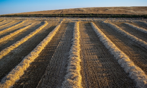 Arbeiten landschaft natur horizont Foto