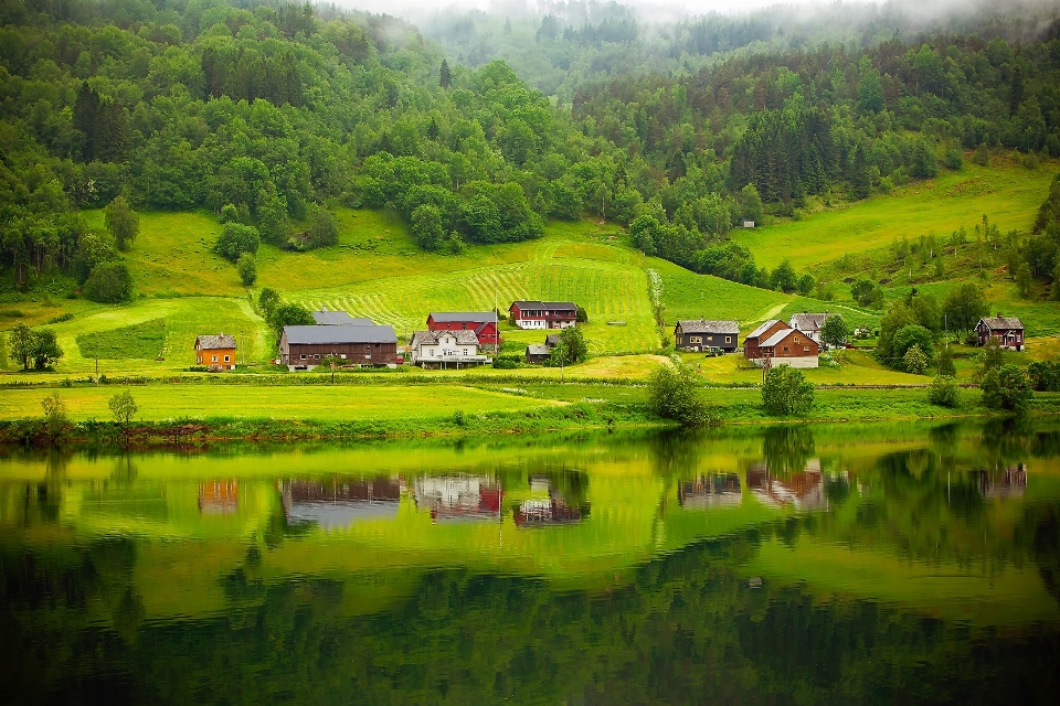 Landscape water nature forest