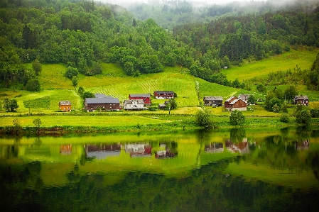 Landscape water nature forest Photo