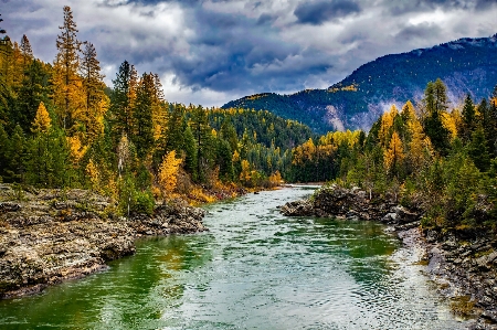 Landscape tree water nature Photo