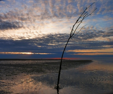 Beach landscape sea coast Photo