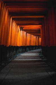 Light architecture wood night Photo