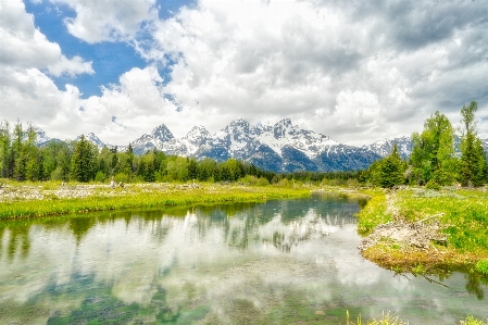 Landscape tree water nature Photo