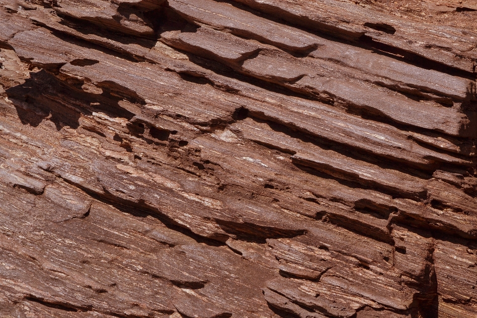 árvore rock abstrato madeira