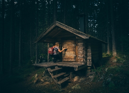 Landscape forest person light Photo