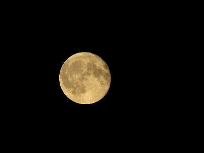 黒と白
 雰囲気 夜空 月 写真