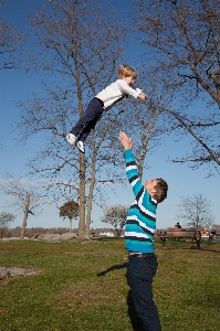 Tree spring season son Photo