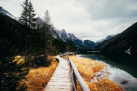 Landscape water nature forest Photo