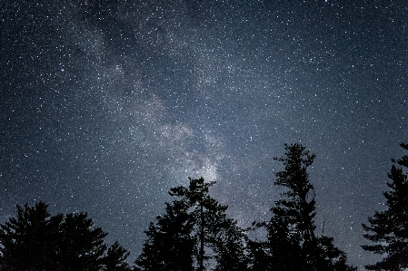 自然 空 夜 星 写真