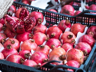 Apple 植物 フルーツ 食べ物 写真